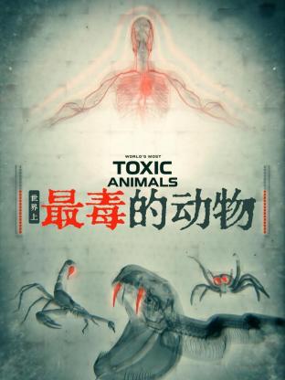 世界上最毒的动物(全集)