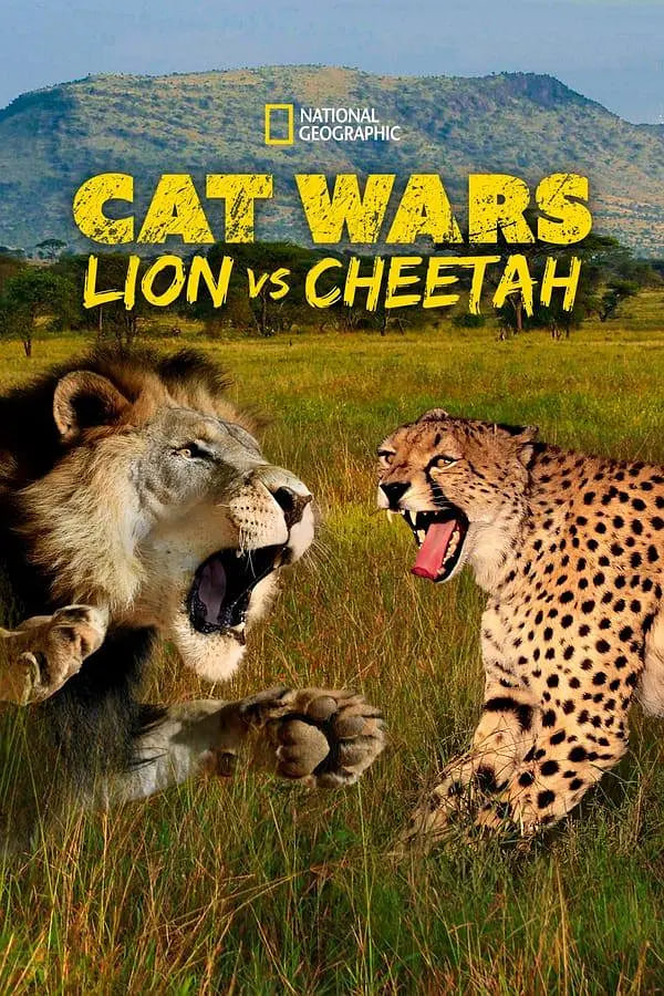 搜索 猫科大战：狮子VS猎豹