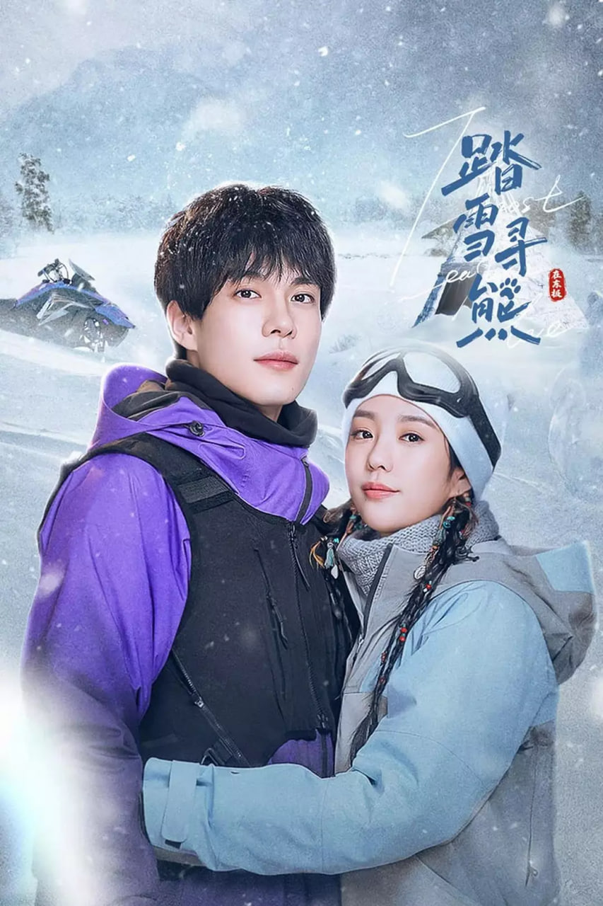 踏雪寻熊(全集)
