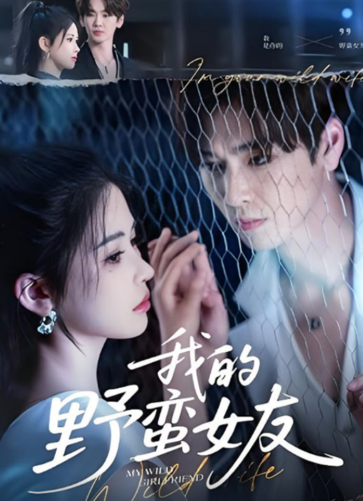 我的野蛮女友(全集)