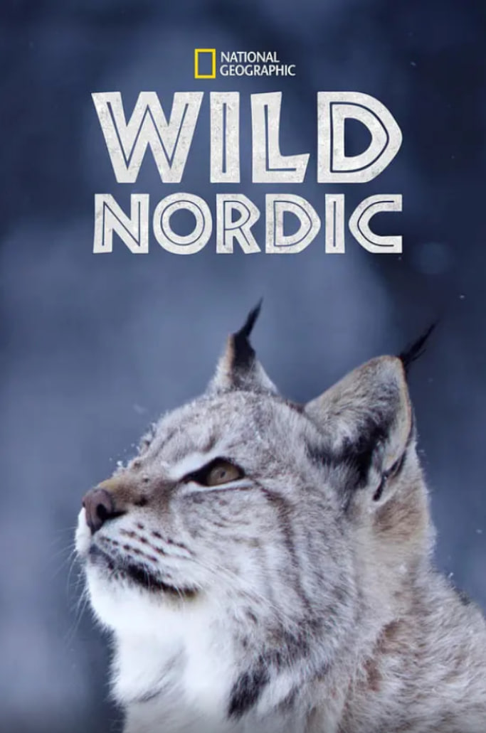 野性北欧 第一季(全集)