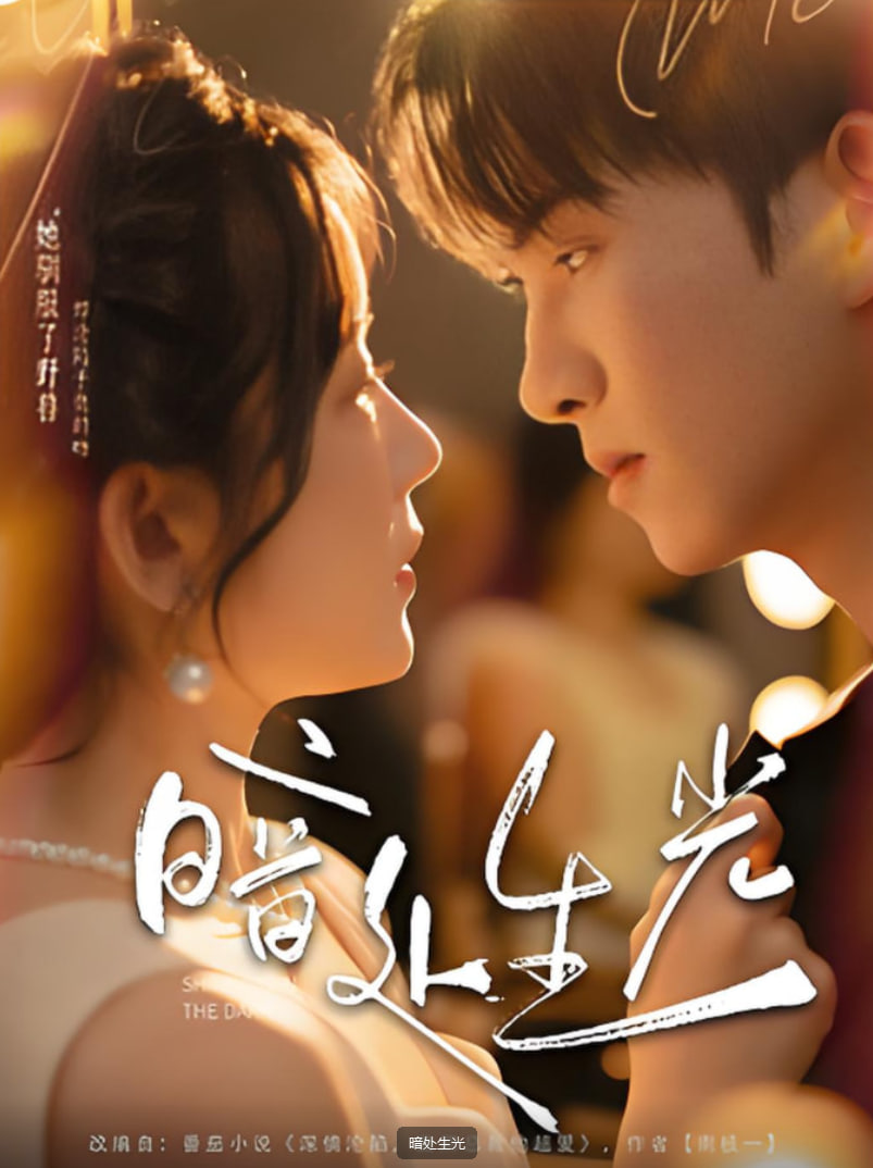 暗处生光(全集)