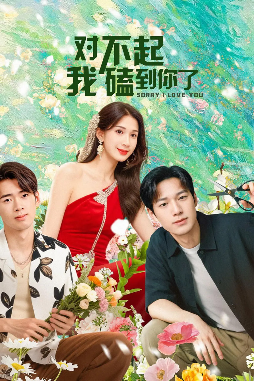 对不起，我磕到你了(全集)