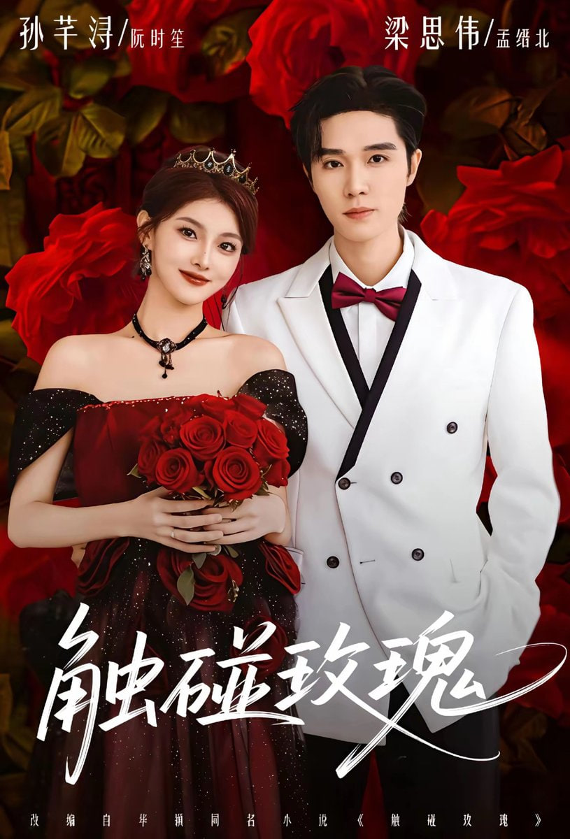 触碰玫瑰（凌晨四点半）玫瑰花未眠(全集)