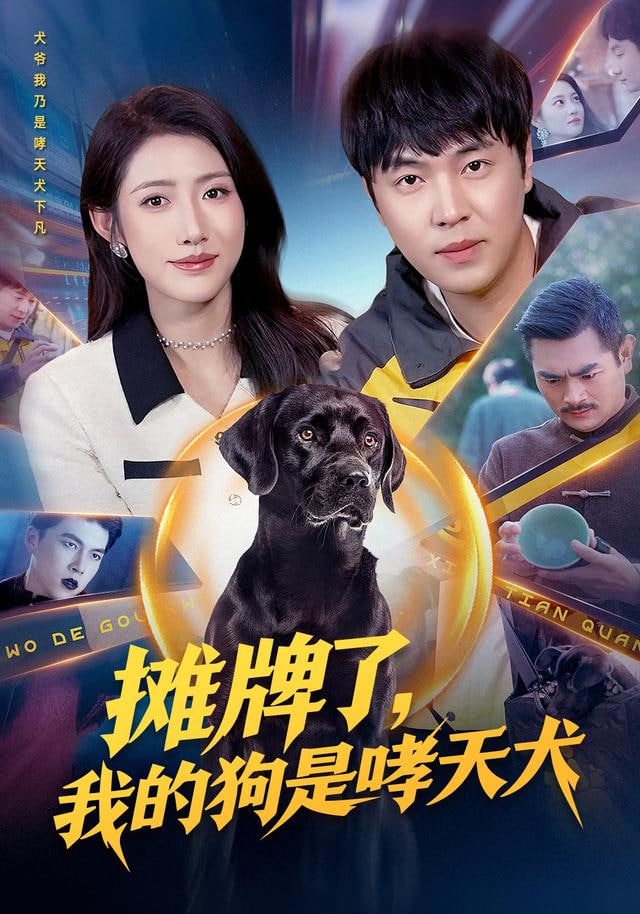 别惹我的狗(全集)