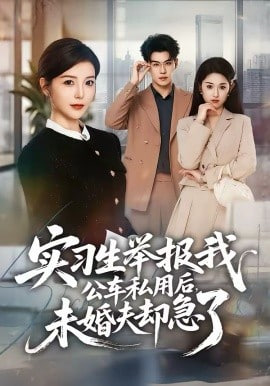 实习生举报我公车私用后，未婚夫却急了(全集)