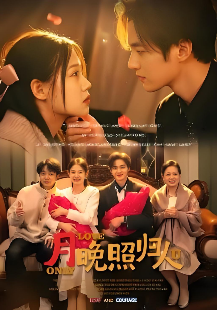 月晚照归人(全集)