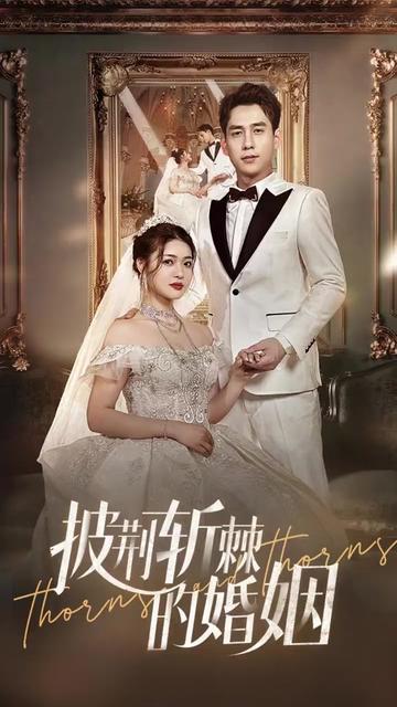 新版：披荆斩棘的婚姻(全集)